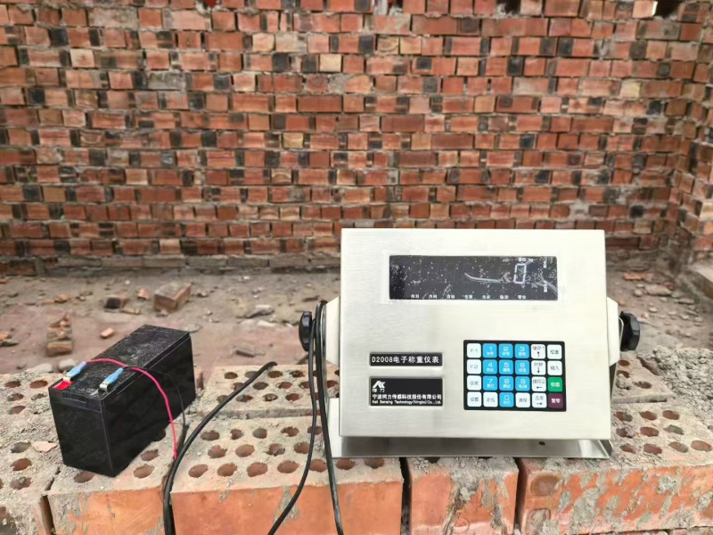 电子汽车衡传感器仪表